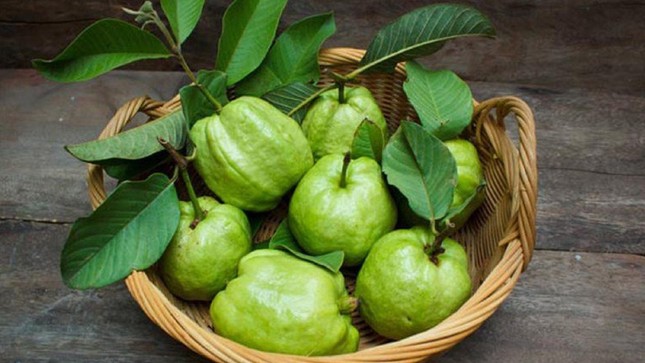 Những người mắc các bệnh sau không nên ăn ổi kẻo 'hại đủ đường' - Ảnh 1. Những người mắc các bệnh sau không nên ăn ổi kẻo 'hại đủ đường' - Ảnh 1.
