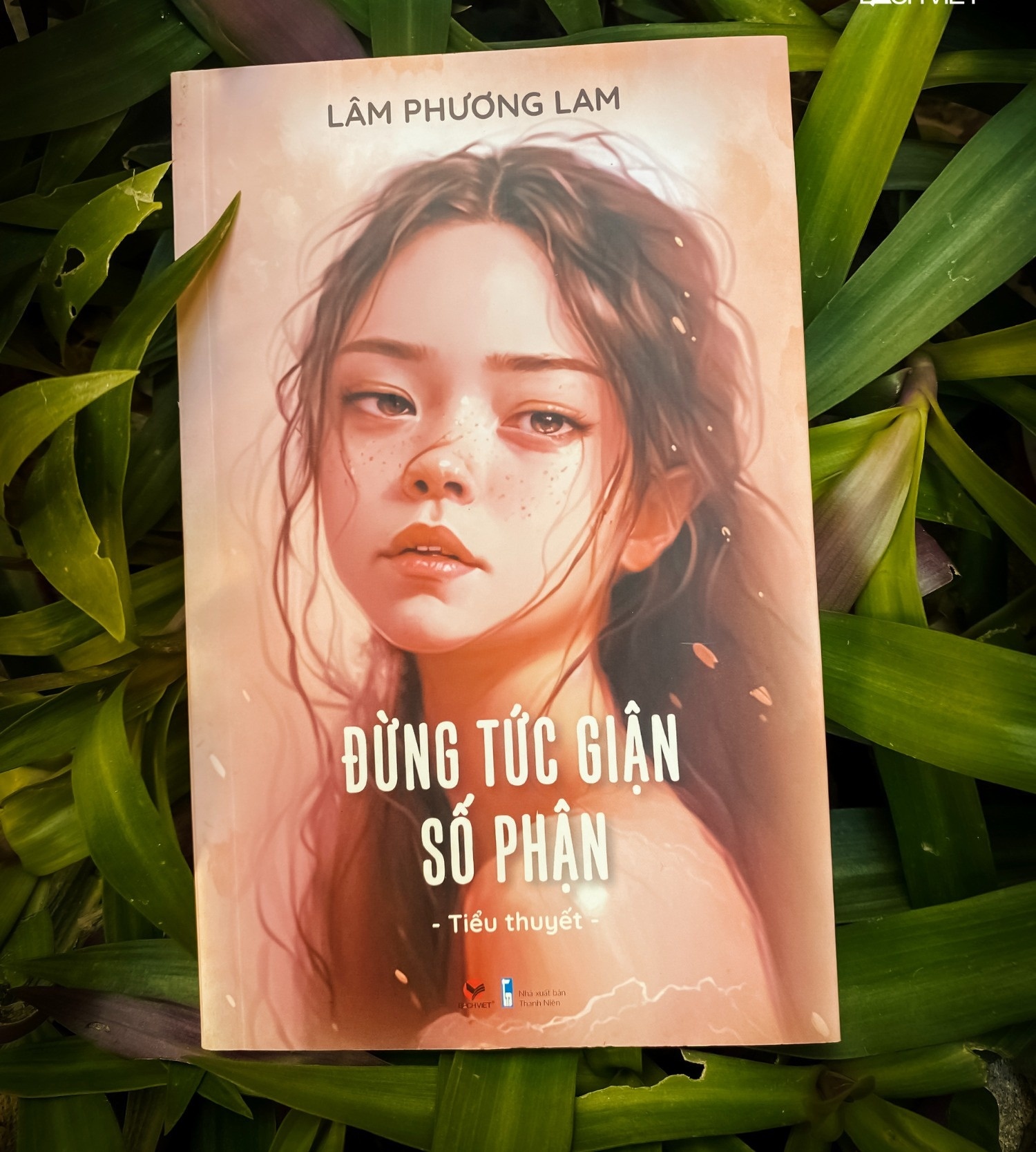 Vuot qua so phan anh 1