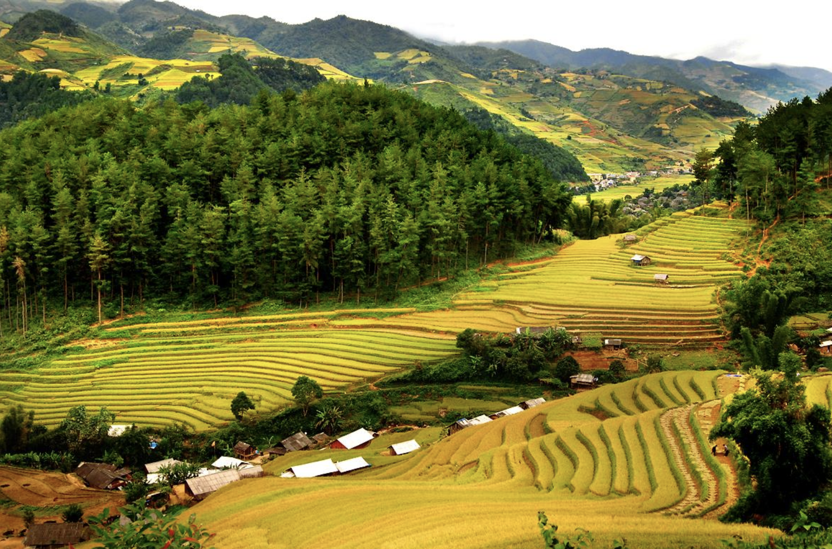 Bắt trọn "thời điểm vàng" tận hưởng và trải nghiệm 1 Pù Luông đẹp nhất trong năm với chi phí - Ảnh 1. Bắt trọn "thời điểm vàng" tận hưởng và trải nghiệm 1 Pù Luông đẹp nhất trong năm với chi phí - Ảnh 1.