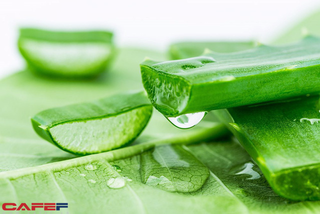 Phương pháp giảm quầng thâm mắt chỉ sau 1 đêm mà bất cứ ai cũng nên biết ngay bây giờ - Ảnh 1. Phương pháp giảm quầng thâm mắt chỉ sau 1 đêm mà bất cứ ai cũng nên biết ngay bây giờ - Ảnh 1.