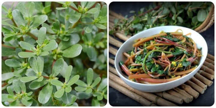 Rau sam rất tốt nhưng không nên ăn cùng những thực phẩm này - Ảnh 1. Rau sam rất tốt nhưng không nên ăn cùng những thực phẩm này - Ảnh 1.