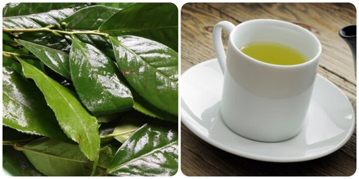 Điều gì sẽ xảy ra nếu bạn uống nước chè xanh mỗi ngày?- Ảnh 1. Điều gì sẽ xảy ra nếu bạn uống nước chè xanh mỗi ngày?- Ảnh 1.