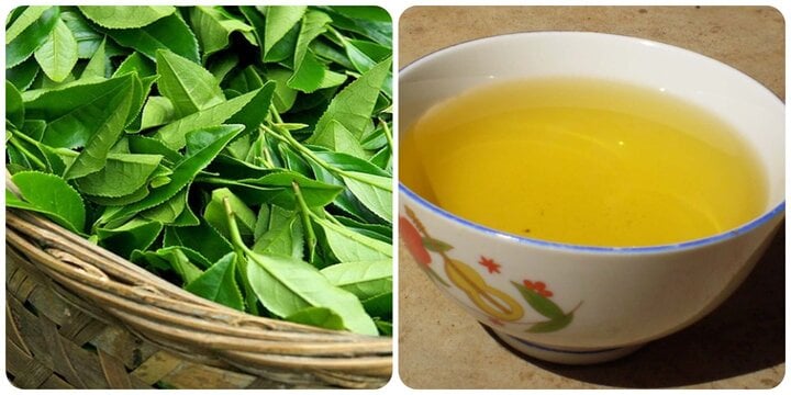 Uống nước chè xanh có tác dụng gì với sức khoẻ?- Ảnh 1. Uống nước chè xanh có tác dụng gì với sức khoẻ?- Ảnh 1.