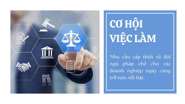 Nghề đang “bùng nổ” cơ hội việc làm, lương 20 triệu VNĐ/tháng trong tầm tay, có vị trí còn cao gấp 7 lần - Ảnh 1. Nghề đang “bùng nổ” cơ hội việc làm, lương 20 triệu VNĐ/tháng trong tầm tay, có vị trí còn cao gấp 7 lần - Ảnh 1.