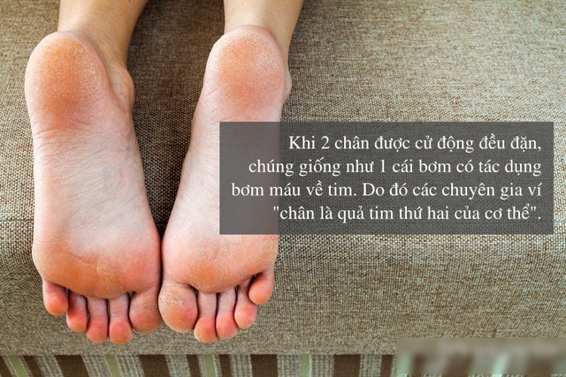 Bàn chân là trái tim thứ 2 trên người: Nếu xuất hiện 9 thay đổi này, có thể cơ thể đang gặp nhiều bất ổn - Ảnh 1. Bàn chân là trái tim thứ 2 trên người: Nếu xuất hiện 9 thay đổi này, có thể cơ thể đang gặp nhiều bất ổn - Ảnh 1.