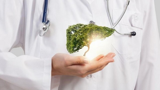 8 dấu hiệu cảnh báo gan đang bị tổn thương và 6 mẹo đơn giản để tăng cường chức năng gan: Hãy chăm lo cho nhà máy vạn năng của cơ thể ngay lúc này! - Ảnh 1. 8 dấu hiệu cảnh báo gan đang bị tổn thương và 6 mẹo đơn giản để tăng cường chức năng gan: Hãy chăm lo cho nhà máy vạn năng của cơ thể ngay lúc này! - Ảnh 1.