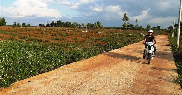 Xuất hiện “tay to” gom đất nông nghiệp để phân lô trước thềm Luật đất đai 2024 có hiệu lực- Ảnh 1. Xuất hiện “tay to” gom đất nông nghiệp để phân lô trước thềm Luật đất đai 2024 có hiệu lực- Ảnh 1.