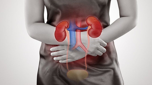 Khi thận suy hỏng, cơ thể sẽ có 3 bất thường lúc tiểu tiện: Có 1 cũng cần đi khám ngay trước khi quá muộn - Ảnh 1. Khi thận suy hỏng, cơ thể sẽ có 3 bất thường lúc tiểu tiện: Có 1 cũng cần đi khám ngay trước khi quá muộn - Ảnh 1.