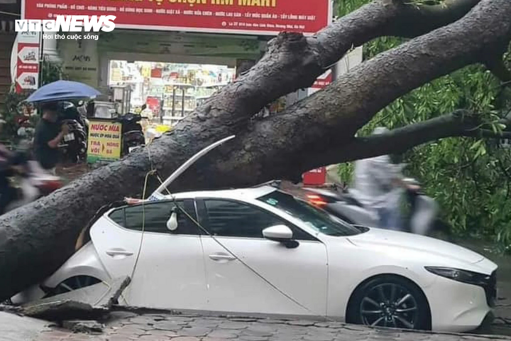 Doanh nghiệp bảo hiểm bồi thường thiệt hại do bão Yagi trước 12/9- Ảnh 1. Doanh nghiệp bảo hiểm bồi thường thiệt hại do bão Yagi trước 12/9- Ảnh 1.