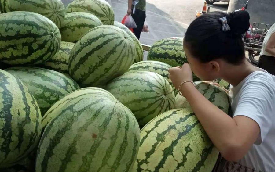 Không cần gõ, nhìn vào phần này của dưa hấu là chọn được quả ngon, ngọt lịm: Đơn giản mà chính xác- Ảnh 1. Không cần gõ, nhìn vào phần này của dưa hấu là chọn được quả ngon, ngọt lịm: Đơn giản mà chính xác- Ảnh 1.