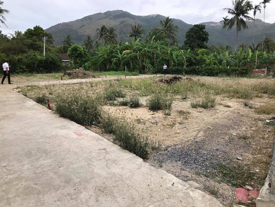 Phương pháp xác định giá đất còn chưa phù hợp điều kiện thực tế - Ảnh 1. Phương pháp xác định giá đất còn chưa phù hợp điều kiện thực tế - Ảnh 1.