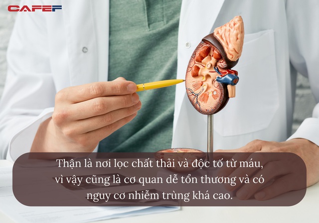 Đau lưng lâu ngày, đừng nghĩ cơ thể lão hóa, có thể bộ phận tựa “sinh lực phái mạnh” đang yếu đi mỗi ngày - Ảnh 1. Đau lưng lâu ngày, đừng nghĩ cơ thể lão hóa, có thể bộ phận tựa “sinh lực phái mạnh” đang yếu đi mỗi ngày - Ảnh 1.