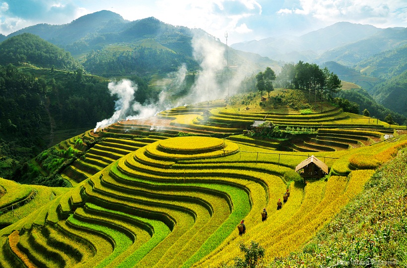 Chi phí du lịch Mù Cang Chải mùa lúa chín - Ảnh 1. Chi phí du lịch Mù Cang Chải mùa lúa chín - Ảnh 1.