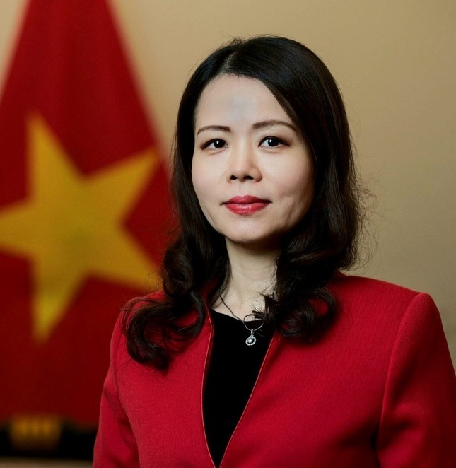 Thứ trưởng Bộ Ngoại giao Nguyễn Minh Hằng thêm nhiệm vụ mới - Ảnh 1. Thứ trưởng Bộ Ngoại giao Nguyễn Minh Hằng thêm nhiệm vụ mới - Ảnh 1.