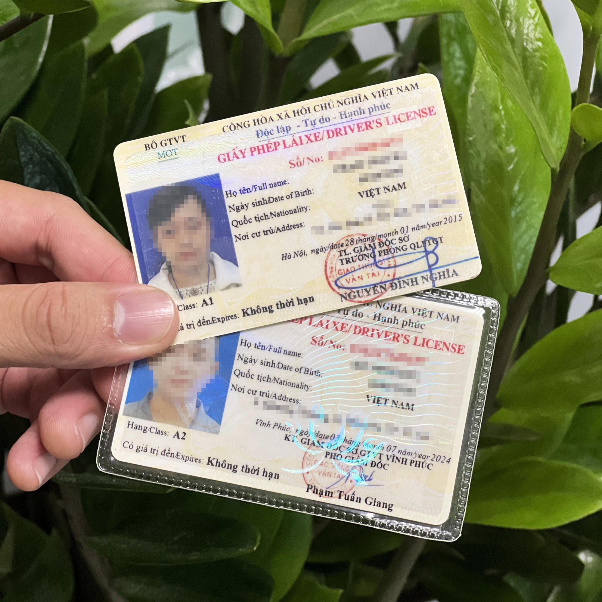 Từ 1/1/2025, điều khiển Honda SH phải dùng 'bằng lái xe phân khối lớn'- Ảnh 1. Từ 1/1/2025, điều khiển Honda SH phải dùng 'bằng lái xe phân khối lớn'- Ảnh 1.