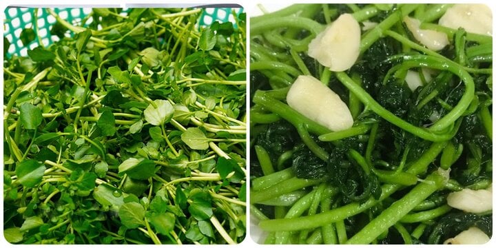 Rau cải xoong được đánh giá loại rau 'bẩn nhất' nhưng có thể ngừa ung thư - Ảnh 1. Rau cải xoong được đánh giá loại rau 'bẩn nhất' nhưng có thể ngừa ung thư - Ảnh 1.
