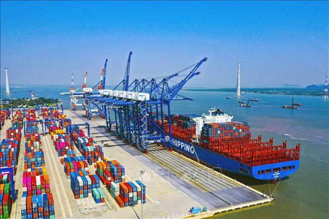 Doanh nghiệp logistics cần điều gì để đẩy nhanh chuyển đổi số? - Ảnh 1. Doanh nghiệp logistics cần điều gì để đẩy nhanh chuyển đổi số? - Ảnh 1.