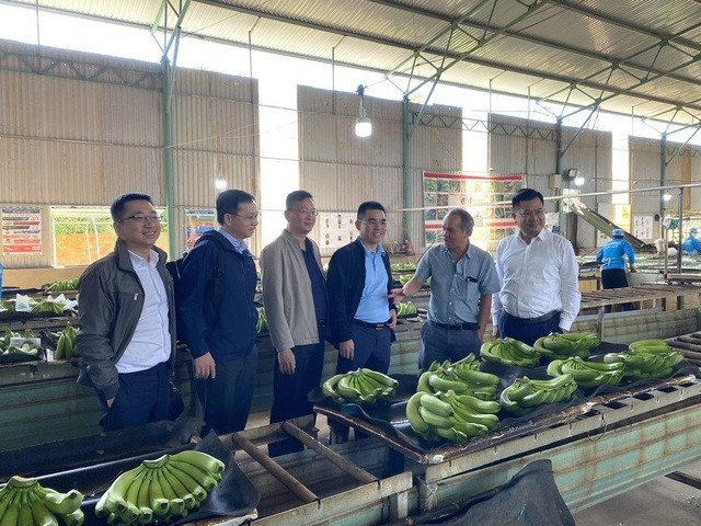 Nhà đầu tư chi hơn 500 tỷ đồng mua cổ phiếu HAG: Tưởng lạ mà quen, sở hữu quỹ đất "khủng", lợi nhuận gần 300 tỷ năm 2022 - Ảnh 1. Nhà đầu tư chi hơn 500 tỷ đồng mua cổ phiếu HAG: Tưởng lạ mà quen, sở hữu quỹ đất "khủng", lợi nhuận gần 300 tỷ năm 2022 - Ảnh 1.
