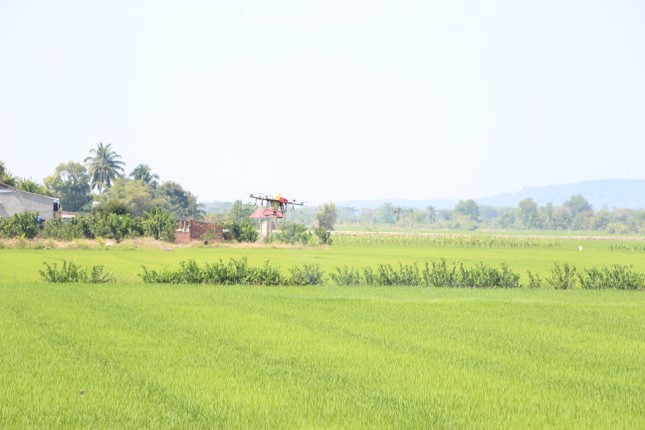 Đồng Nai quy định mới về việc xây dựng công trình trên đất nông nghiệp- Ảnh 1. Đồng Nai quy định mới về việc xây dựng công trình trên đất nông nghiệp- Ảnh 1.