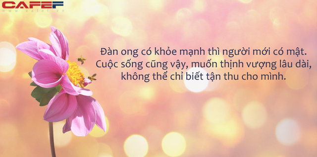 Muốn có nhiều mật thì phải biết phần lại cho ong, càng tận thu càng không được gì: Đạo lý thâm sâu từ kẻ nuôi ong mà rất ít người lĩnh hội được - Ảnh 1. Muốn có nhiều mật thì phải biết phần lại cho ong, càng tận thu càng không được gì: Đạo lý thâm sâu từ kẻ nuôi ong mà rất ít người lĩnh hội được - Ảnh 1.
