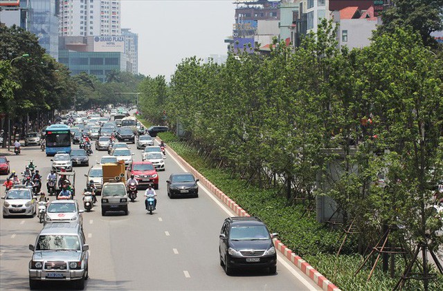 Hàng cây phong lá đỏ vẫn xanh tốt giữa Thủ đô, bất chấp trời nắng gắt - Ảnh 1. Hàng cây phong lá đỏ vẫn xanh tốt giữa Thủ đô, bất chấp trời nắng gắt - Ảnh 1.