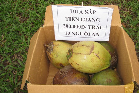 Dừa sáp 250.000 đồng/quả, nông dân rủ nhau mua dừa giống về trồng - Ảnh 1. Dừa sáp 250.000 đồng/quả, nông dân rủ nhau mua dừa giống về trồng - Ảnh 1.