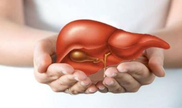 Gan thải độc nhưng cũng dễ bị nhiễm độc: Có dấu hiệu sau là gan đang bị tổn thương - Ảnh 1. Gan thải độc nhưng cũng dễ bị nhiễm độc: Có dấu hiệu sau là gan đang bị tổn thương - Ảnh 1.