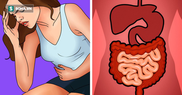 10 dấu hiệu cảnh báo cơ thể bị độc tố tấn công: Hãy nhanh thải độc ngay - Ảnh 1. 10 dấu hiệu cảnh báo cơ thể bị độc tố tấn công: Hãy nhanh thải độc ngay - Ảnh 1.