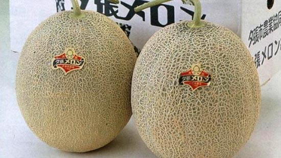 Cặp dưa lưới Nhật Bản được bán bằng giá một chiếc ô tô hạng sang - Ảnh 1. Cặp dưa lưới Nhật Bản được bán bằng giá một chiếc ô tô hạng sang - Ảnh 1.