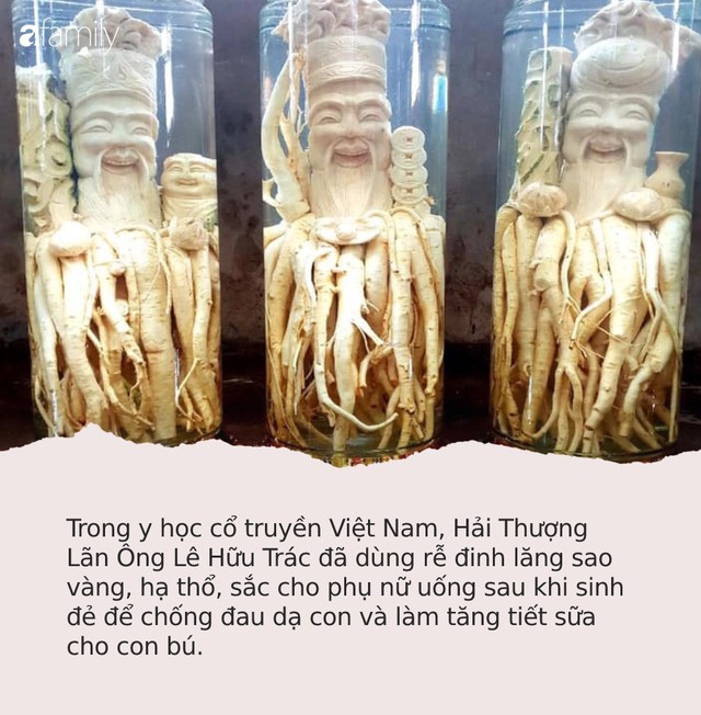 Sự thật về loại “nhân sâm của người nghèo”, trị bách bệnh đang được người Việt săn đón nhiều nhất - Ảnh 1. Sự thật về loại “nhân sâm của người nghèo”, trị bách bệnh đang được người Việt săn đón nhiều nhất - Ảnh 1.