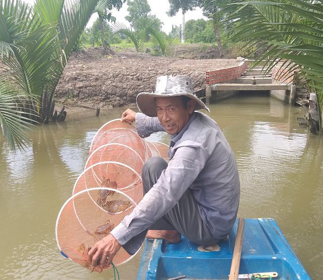 Bí quyết chọn cua biển Cà Mau ngon, tránh hàng đểu - Ảnh 1. Bí quyết chọn cua biển Cà Mau ngon, tránh hàng đểu - Ảnh 1.