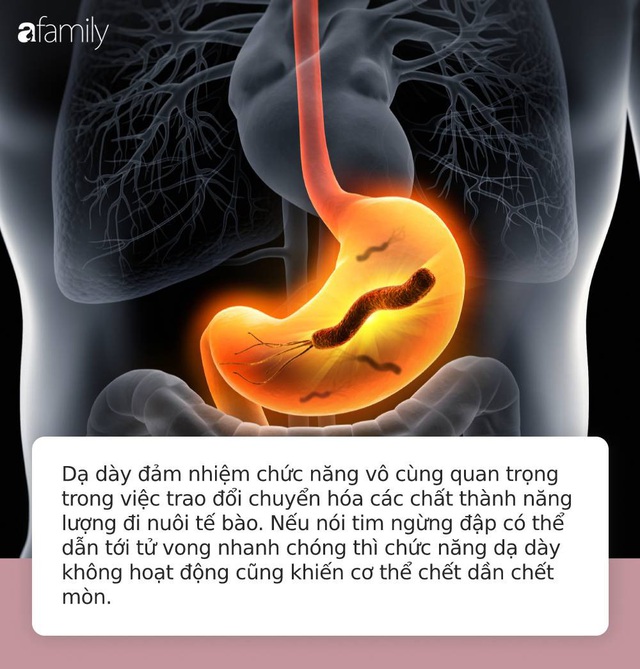 Dạ dày của bạn sợ nhất 5 việc này nhưng hầu như ai cũng “thản nhiên” phạm phải mỗi ngày - Ảnh 1. Dạ dày của bạn sợ nhất 5 việc này nhưng hầu như ai cũng “thản nhiên” phạm phải mỗi ngày - Ảnh 1.