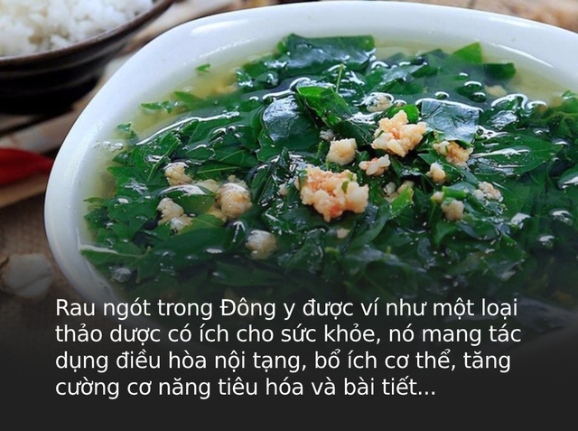 Là thảo dược quý trong Đông y nhưng có 3 nhóm người tuyệt đối không được ăn rau ngót vì sẽ gây hại nghiêm trọng cho sức khỏe - Ảnh 1. Là thảo dược quý trong Đông y nhưng có 3 nhóm người tuyệt đối không được ăn rau ngót vì sẽ gây hại nghiêm trọng cho sức khỏe - Ảnh 1.