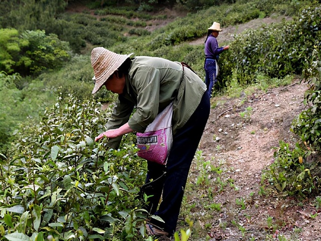 Mắc ung thư gan nhưng suốt 20 năm vẫn sống khỏe, cụ bà 96 tuổi chia sẻ bí quyết đánh bại ung thư, kéo dài tuổi thọ chỉ gói gọn trong 3 chữ - Ảnh 1. Mắc ung thư gan nhưng suốt 20 năm vẫn sống khỏe, cụ bà 96 tuổi chia sẻ bí quyết đánh bại ung thư, kéo dài tuổi thọ chỉ gói gọn trong 3 chữ - Ảnh 1.
