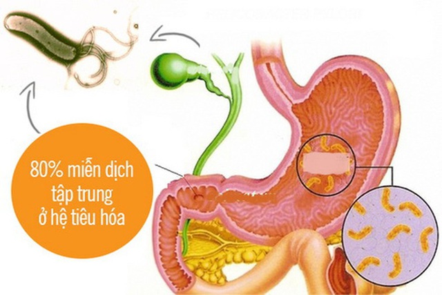 28 tuổi bị ung thư dạ dày giai đoạn cuối, BS khẩn thiết: Người trẻ đừng mắc sai lầm này - Ảnh 1. 28 tuổi bị ung thư dạ dày giai đoạn cuối, BS khẩn thiết: Người trẻ đừng mắc sai lầm này - Ảnh 1.