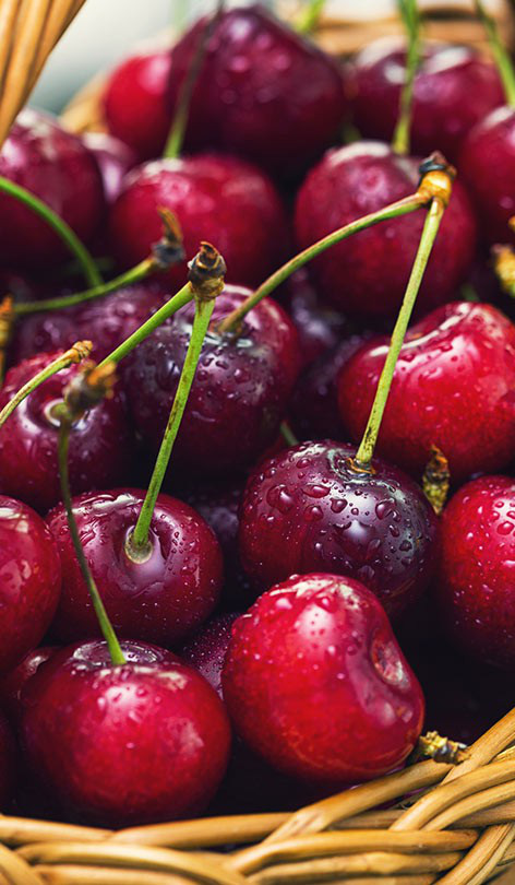 Đừng bao giờ phạm phải sai lầm này khi ăn quả cherry vì có thể khiến bạn ngộ độc, thậm chí tử vong - Ảnh 1. Đừng bao giờ phạm phải sai lầm này khi ăn quả cherry vì có thể khiến bạn ngộ độc, thậm chí tử vong - Ảnh 1.