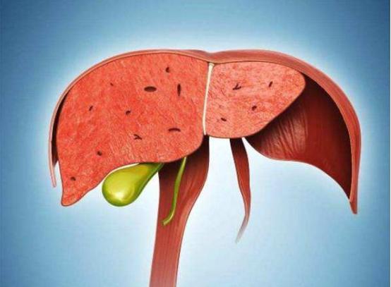 3 món ngọt hại gan nên ăn ít, 2 món đắng bổ gan nên ăn thật nhiều: Bí quyết phòng ung thư đơn giản nhưng cam đoan bạn chưa biết - Ảnh 1. 3 món ngọt hại gan nên ăn ít, 2 món đắng bổ gan nên ăn thật nhiều: Bí quyết phòng ung thư đơn giản nhưng cam đoan bạn chưa biết - Ảnh 1.