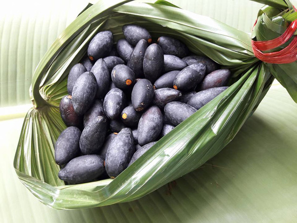 Quả trám bắt đầu vào mùa, không những đưa miệng mà loại quả này còn là vị thuốc quý - Ảnh 1. Quả trám bắt đầu vào mùa, không những đưa miệng mà loại quả này còn là vị thuốc quý - Ảnh 1.