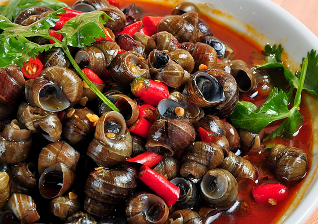 Những đại kỵ khi ăn ốc, biết mà tránh kẻo rước bệnh vào thân - Ảnh 1. Những đại kỵ khi ăn ốc, biết mà tránh kẻo rước bệnh vào thân - Ảnh 1.
