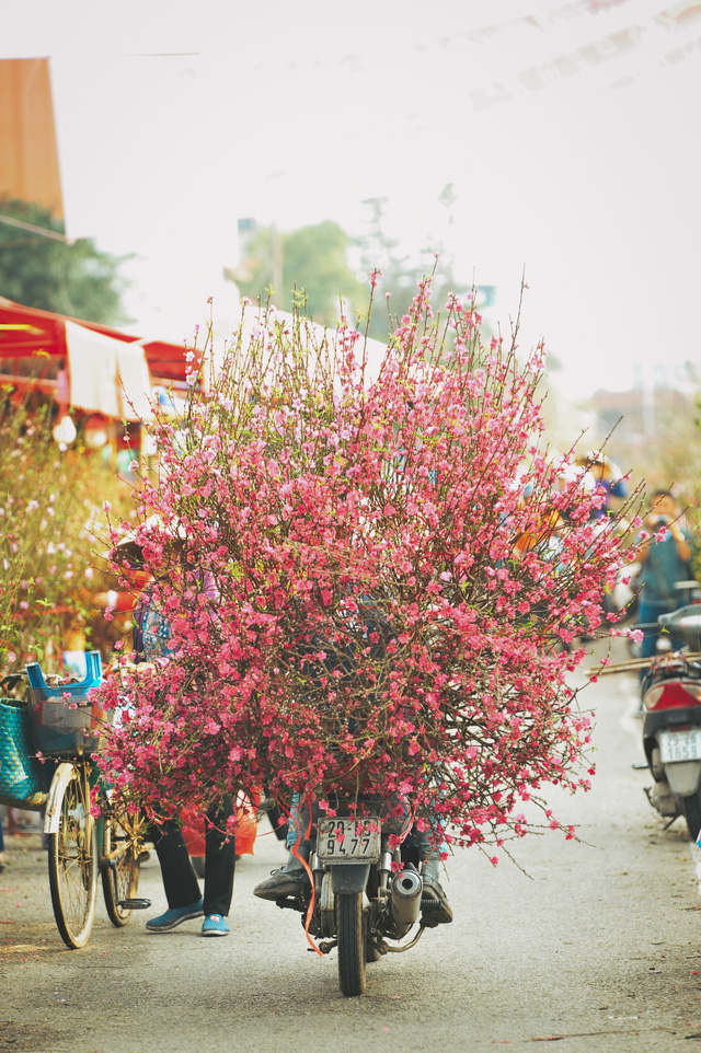 Tết Nguyên đán nên chưng hoa gì để hút tài lộc, may mắn? - Ảnh 1. Tết Nguyên đán nên chưng hoa gì để hút tài lộc, may mắn? - Ảnh 1.