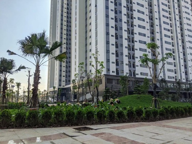 Hải Phòng dành 433 ha đất phát triển nhà ở xã hội - Ảnh 1. Hải Phòng dành 433 ha đất phát triển nhà ở xã hội - Ảnh 1.