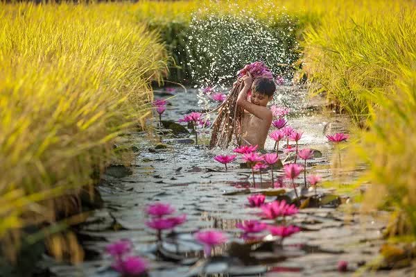 Về An Giang mùa nước nổi, lênh đênh giữa rừng Tràm Trà Sư ăn lẩu cá linh độc nhất vô nhị’ - Ảnh 1. Về An Giang mùa nước nổi, lênh đênh giữa rừng Tràm Trà Sư ăn lẩu cá linh độc nhất vô nhị’ - Ảnh 1.
