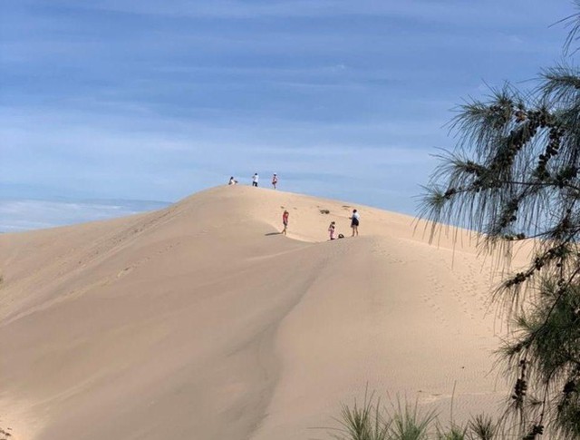 Khách du lịch thích thú trải nghiệm đồi cát hoang sơ ở Ninh Thuận - Ảnh 1. Khách du lịch thích thú trải nghiệm đồi cát hoang sơ ở Ninh Thuận - Ảnh 1.
