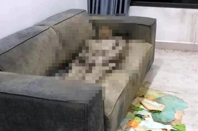 Cô gái chết khô trên ghế sofa ở Hà Nội gần 2 năm: Đệm ghế khiến tình trạng thi thể khô dần?- Ảnh 1. Cô gái chết khô trên ghế sofa ở Hà Nội gần 2 năm: Đệm ghế khiến tình trạng thi thể khô dần?- Ảnh 1.