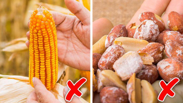 Có 100 triệu nhưng không muốn gửi tiết kiệm: 3 cách đầu tư tiền đẻ tiền ở thời điểm này - Ảnh 1. Có 100 triệu nhưng không muốn gửi tiết kiệm: 3 cách đầu tư tiền đẻ tiền ở thời điểm này - Ảnh 1.