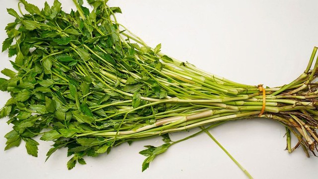 Rau cần có nhiều lợi ích nhưng những người sau nên tránh xa tuyệt đối - Ảnh 1. Rau cần có nhiều lợi ích nhưng những người sau nên tránh xa tuyệt đối - Ảnh 1.