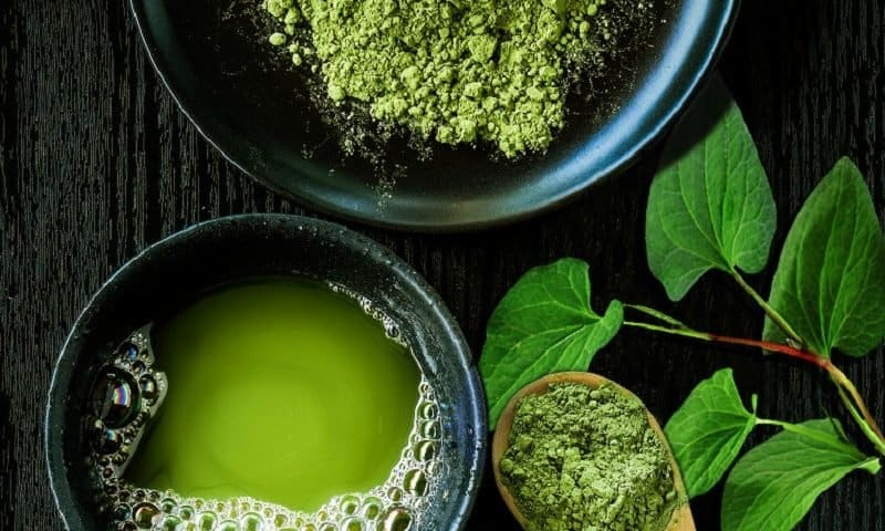 1 loại rau mọc đầy vườn, vị tanh nhưng là “thuốc” hạ đường huyết tự nhiên, “làm sạch” cơ thể, chống béo phì- Ảnh 1. 1 loại rau mọc đầy vườn, vị tanh nhưng là “thuốc” hạ đường huyết tự nhiên, “làm sạch” cơ thể, chống béo phì- Ảnh 1.