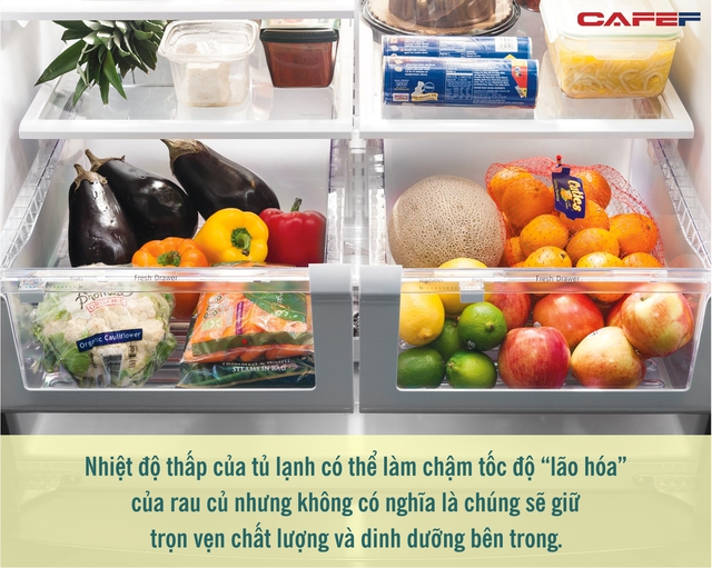 Nên trữ rau trong tủ lạnh bao nhiêu ngày? Thói quen sai lầm có thể khiến gia đình rơi vào hiểm họa khôn lường - Ảnh 1. Nên trữ rau trong tủ lạnh bao nhiêu ngày? Thói quen sai lầm có thể khiến gia đình rơi vào hiểm họa khôn lường - Ảnh 1.