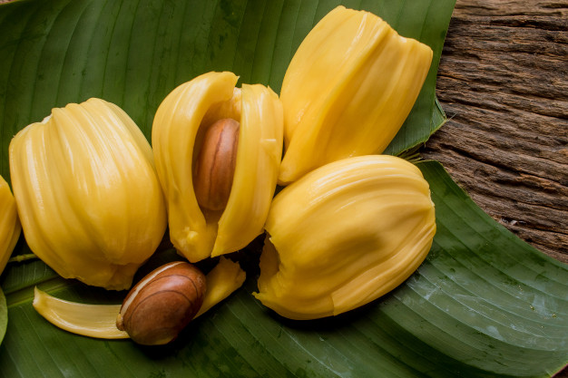 1 phần của quả mít có tác dụng phòng ung thư, tiểu đường: Ở Việt Nam toàn vứt bỏ, sang Nhật bán giá cực cao- Ảnh 1. 1 phần của quả mít có tác dụng phòng ung thư, tiểu đường: Ở Việt Nam toàn vứt bỏ, sang Nhật bán giá cực cao- Ảnh 1.