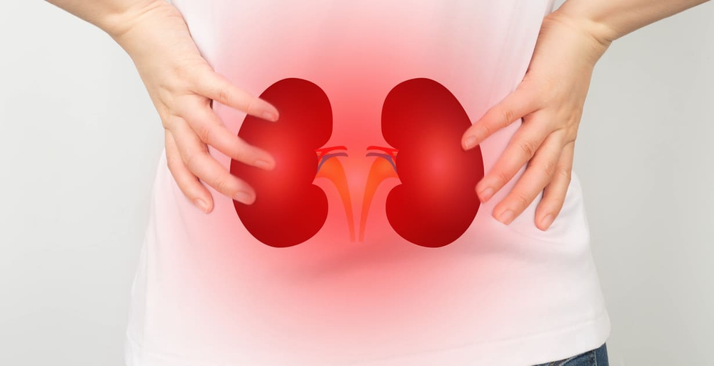 Thận ‘sợ’ nhất 10 hành vi này, trong đó rất nhiều thói quen thường gặp, đặc biệt ở nam giới - Ảnh 1. Thận ‘sợ’ nhất 10 hành vi này, trong đó rất nhiều thói quen thường gặp, đặc biệt ở nam giới - Ảnh 1.